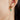 Satin Blue Crystal Earrings